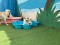My Buddy Pet Care