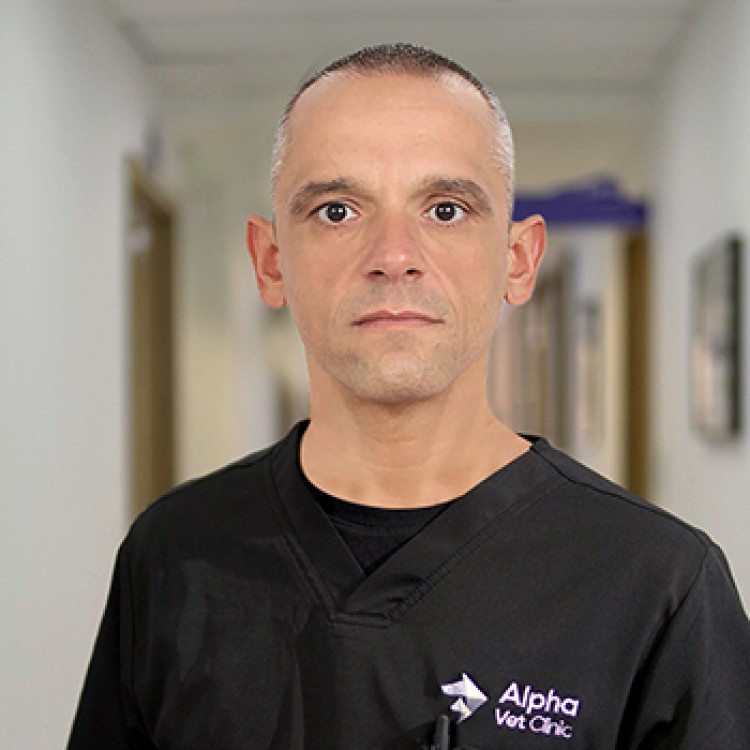 Dr. Vladimir Vujicic