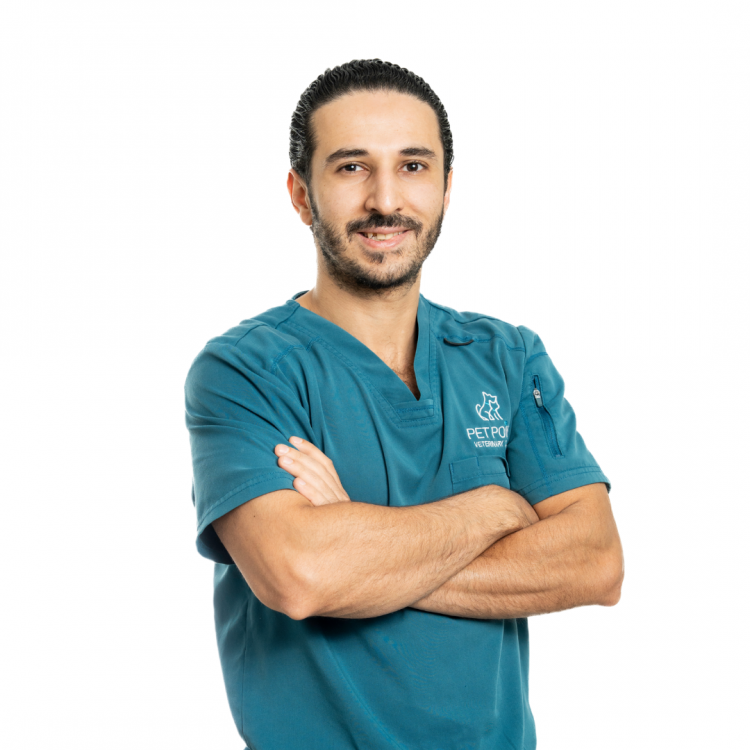 Dr Hisham El AlWakeel