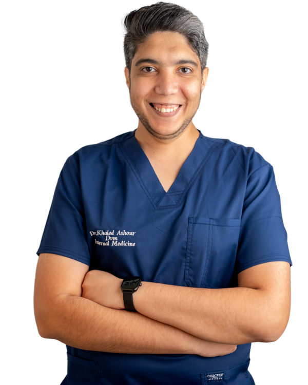 Dr. Khaled Ashour